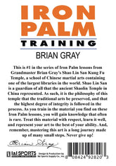 3 DVD Set Kung Fu Iron Palm Training a Complete Course by GM Brian Gray